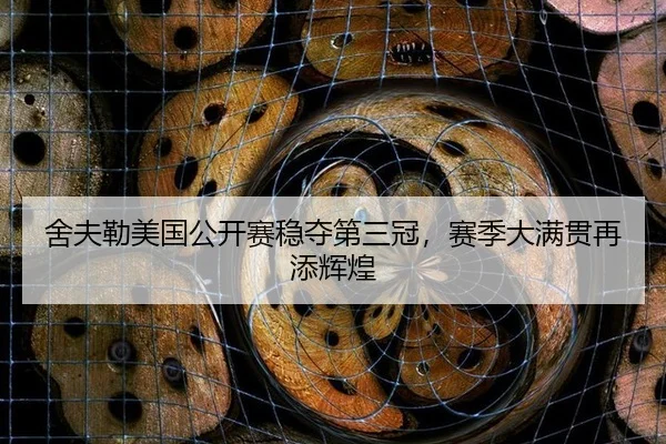 舍夫勒美国公开赛稳夺第三冠，赛季大满贯再添辉煌