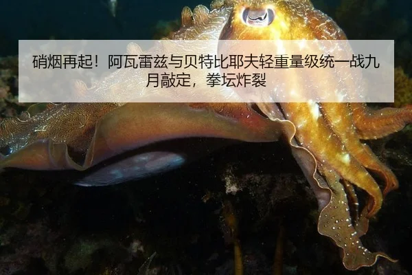 xiao-yan-zai-qi-a-wa-lei-zi-yu-bei-te-bi-ye-fu-qing-zhong-liang-ji-tong-yi-zhan-jiu-yue-qiao-ding-quan-tan-zha-lie-2-816.jpg